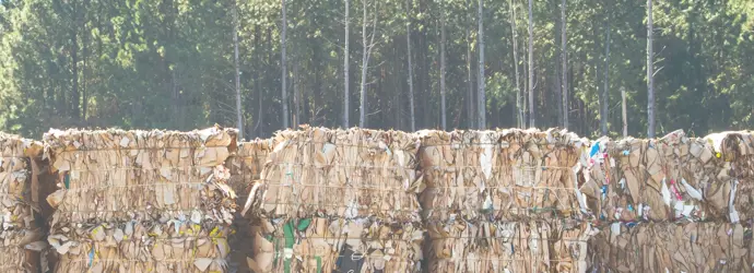 So wird Recyclingpapier hergestellt