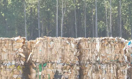 Wie wird Recyclingpapier eigentlich hergestellt?