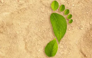 Hygienetücher aus recycelten Fasern