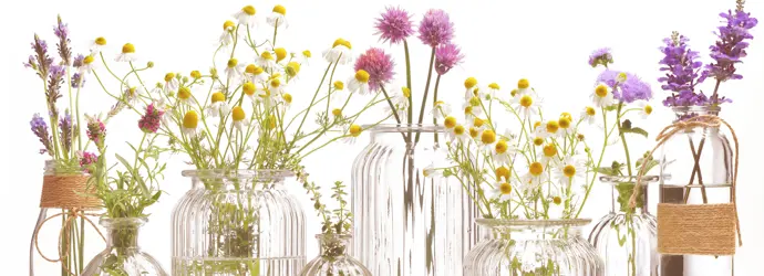 Das Leben danach: Schicke Bohème Vase